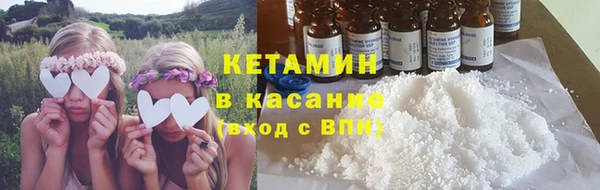 стаф Корсаков