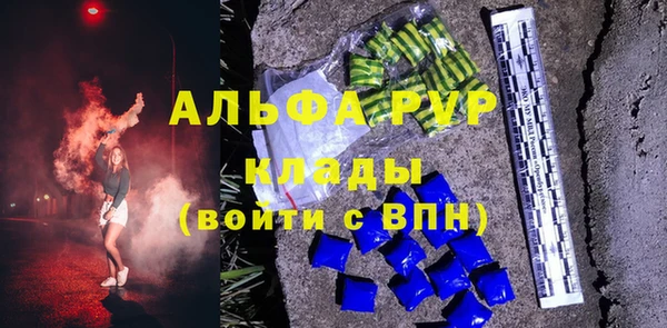 стаф Корсаков