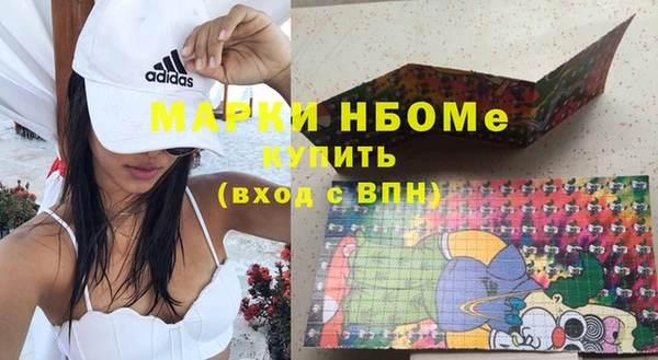 стаф Корсаков