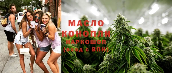 стаф Корсаков