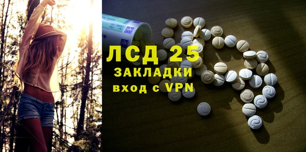 стаф Корсаков