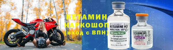стаф Корсаков