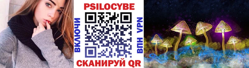 Купить закладки  Нижняя Тура  Галлюциногенные грибы Psilocybe 